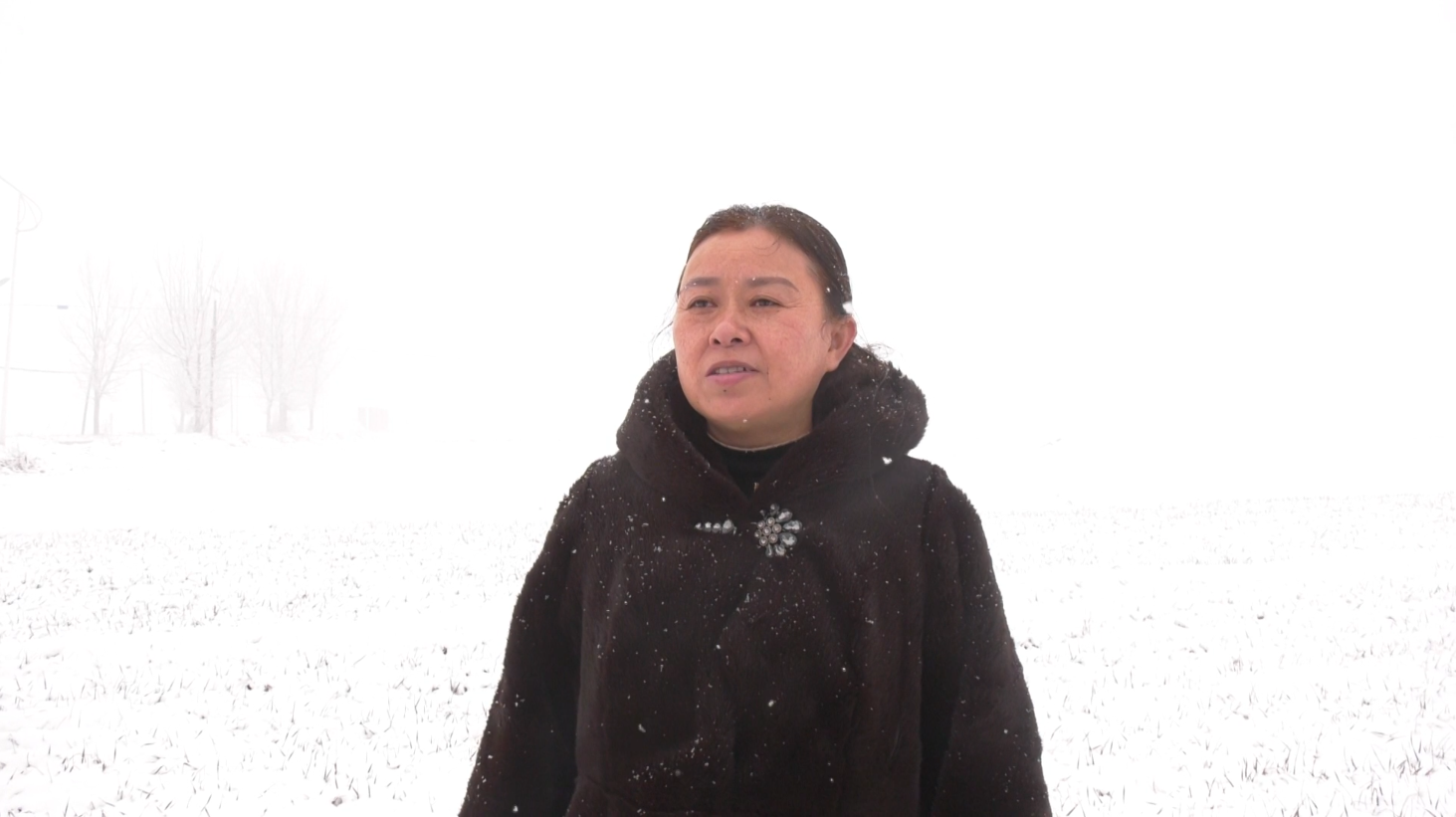 微信截图_20230208133909