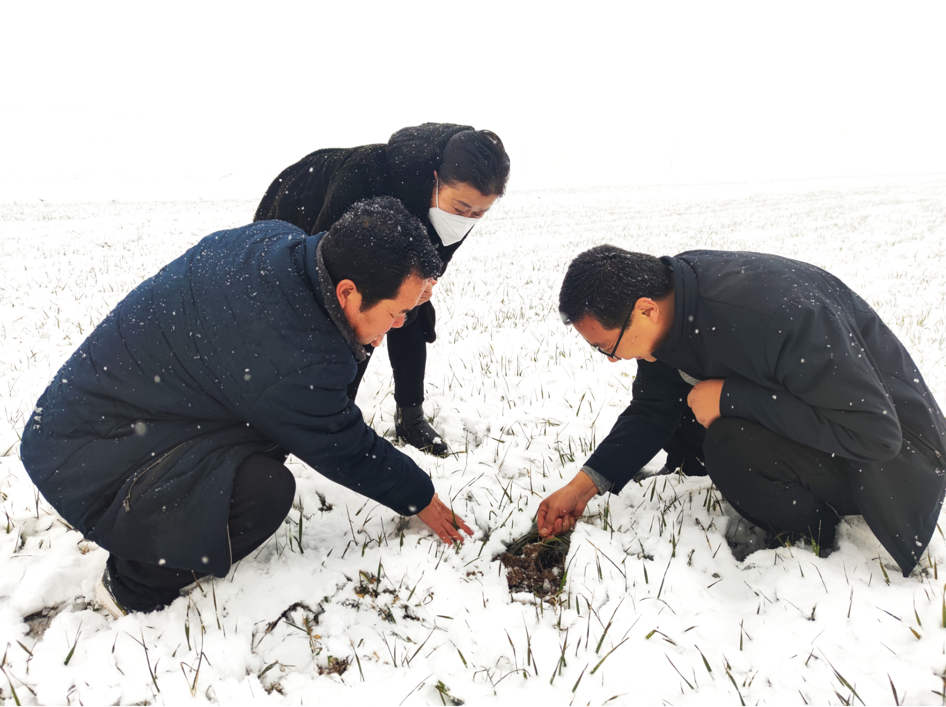 微信截图_20230208134609