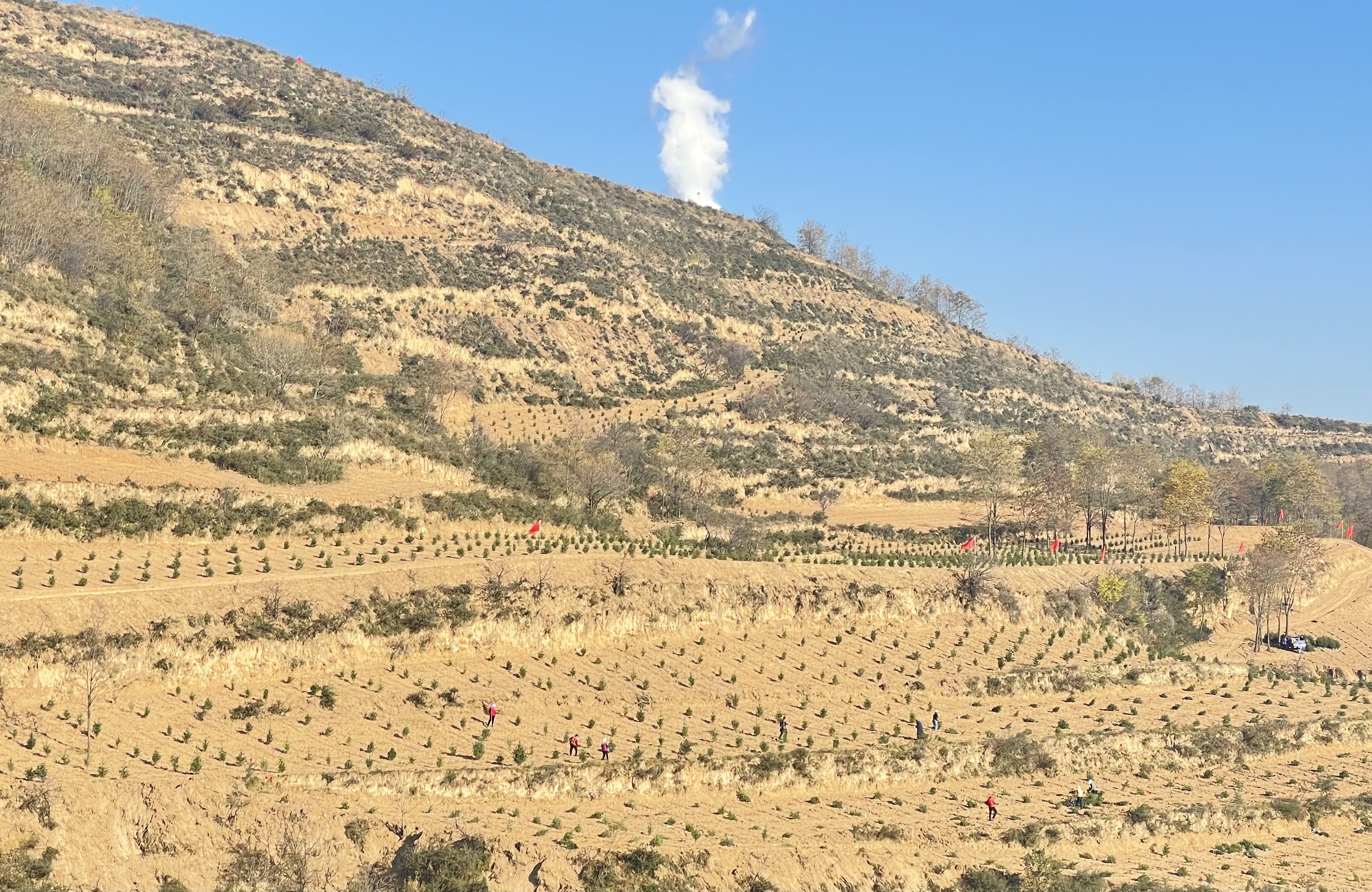 在锦屏镇杜家沟面山和黄花乡铁家沟造林现场,工人们正在前期开挖修整