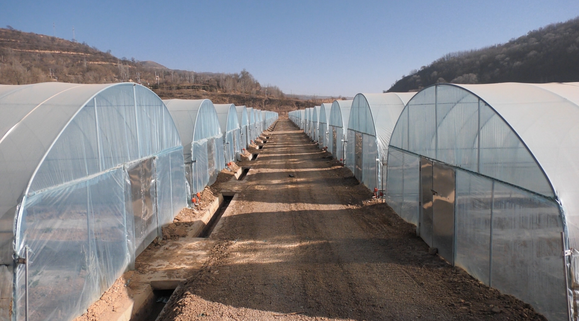 微信截图_20231208113028