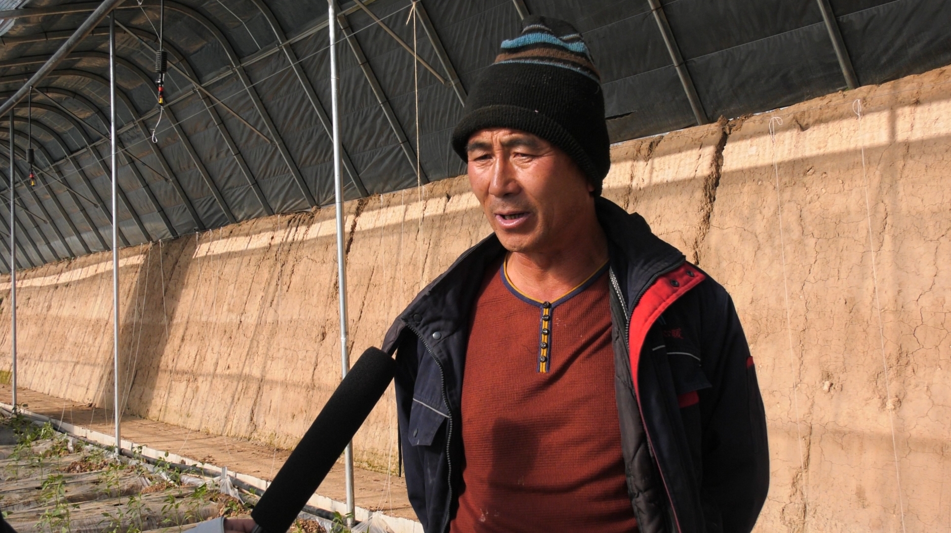 微信截图_20231208114149