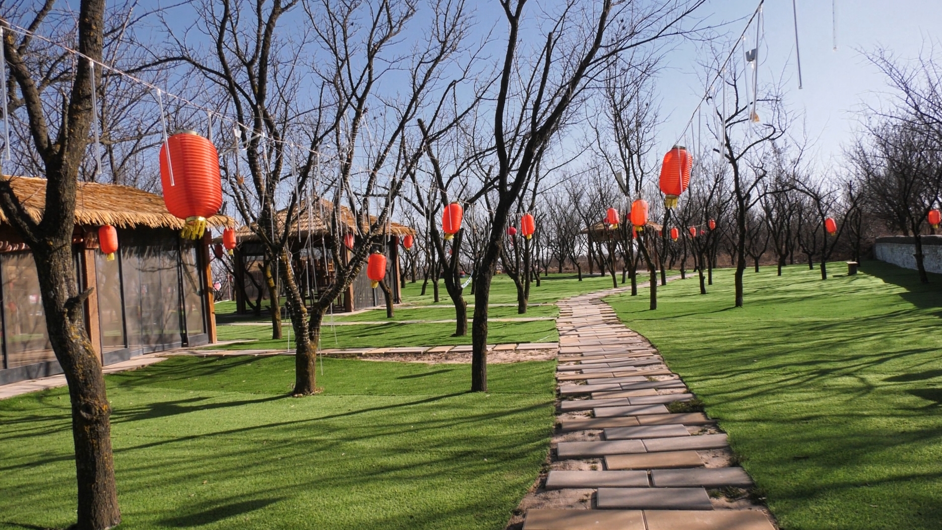 微信截图_20231208113228