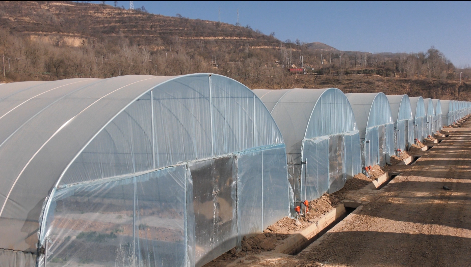 微信截图_20231208113100