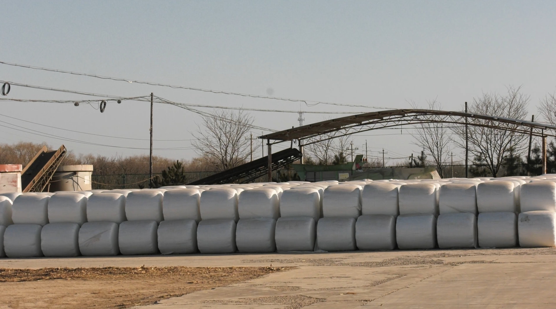 微信截图_20231208113407