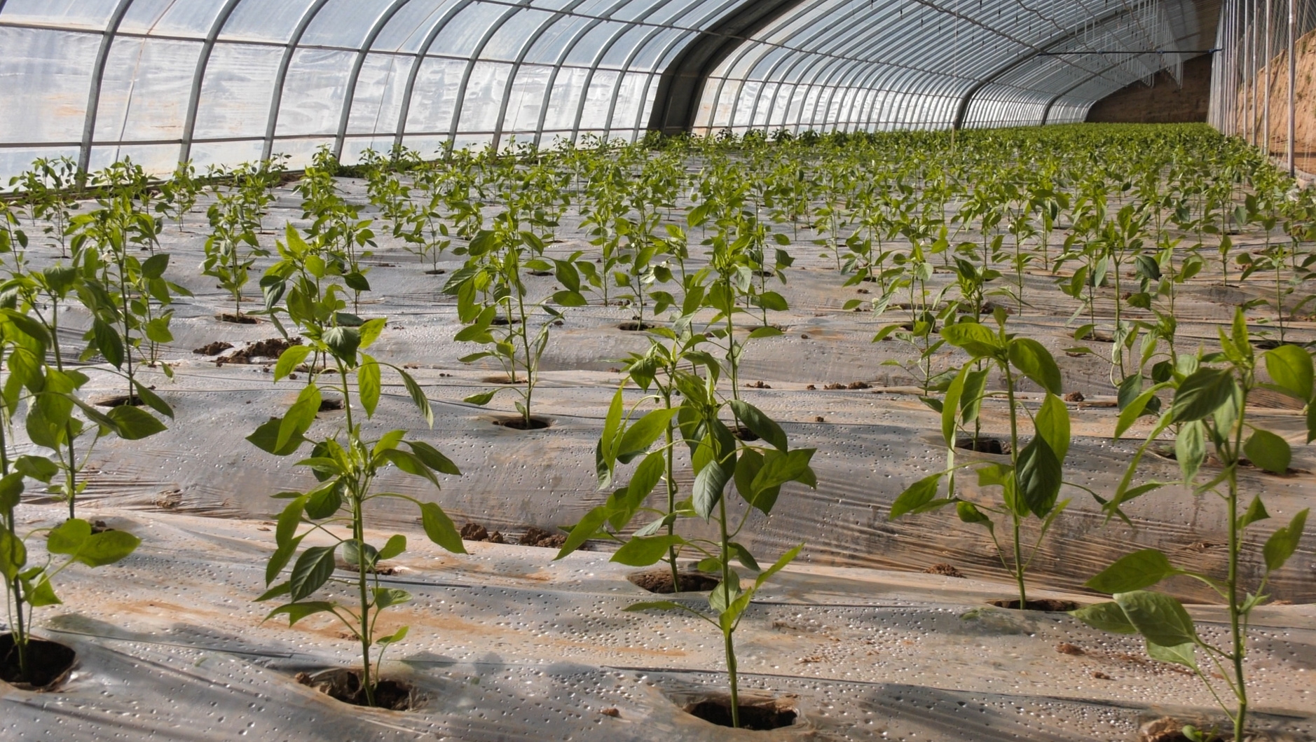 微信截图_20231208113000